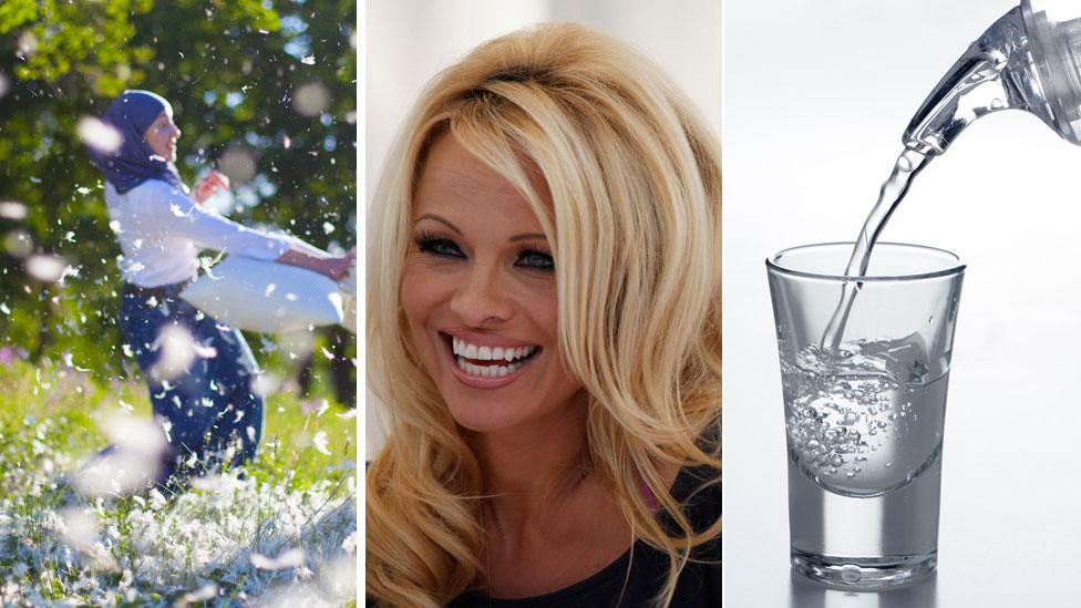 woman in pillow fight, vodka shot and Pamela Anderson