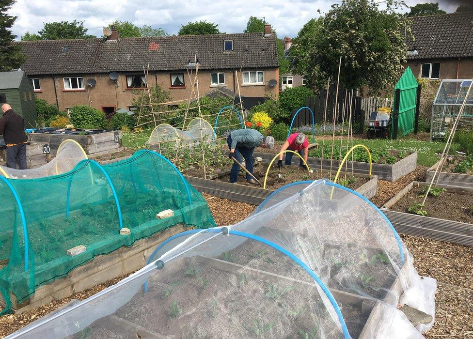 The community garden at EATS Rosyth