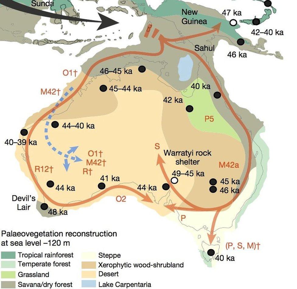 A map showing the movements of the first Aboriginal Australians