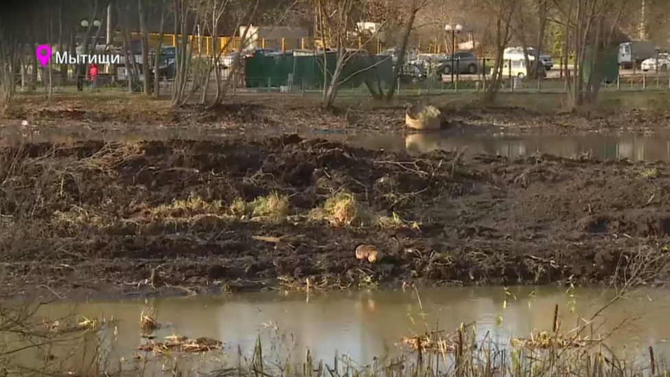 Beavers at Mytishchi, Moscow