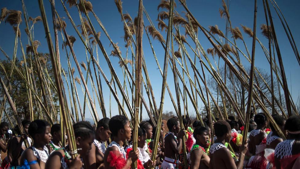 Maidens carry and lay reeds while they sing and dance during the annual royal Reed Dance at the Ludzidzini Royal palace on 28 August 2016 in Lobamba, Swaziland.