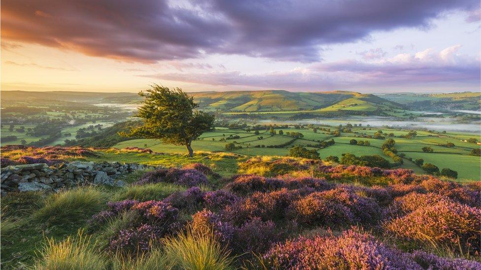 Peak District view