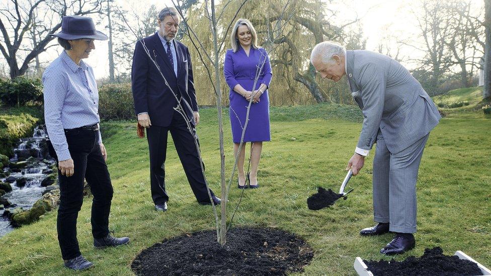 Prince Charles planting a tree