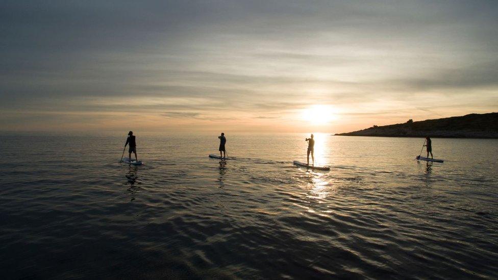 Paddleboarders