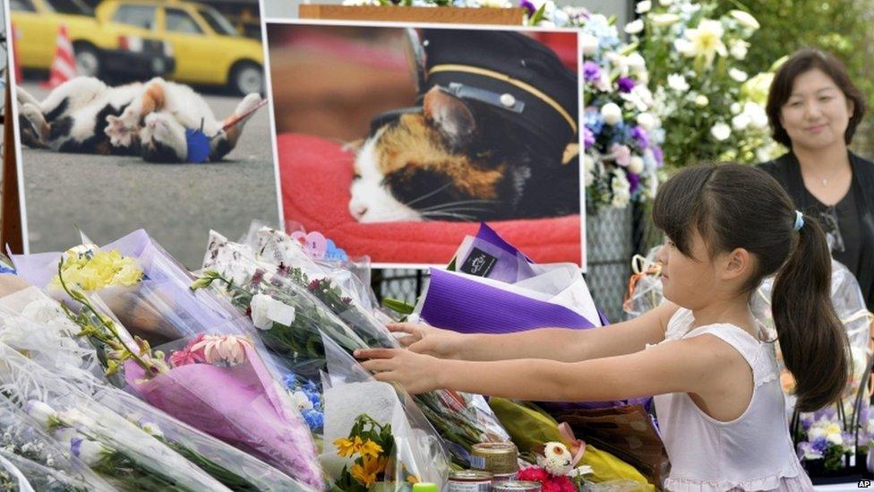 A girl lays bouquets of flowers at an altar especially set up for a funeral of Tama, a cat stationmaster, in Kinokawa City, Wakayama Prefecture, western Japan, on 28 June 2015