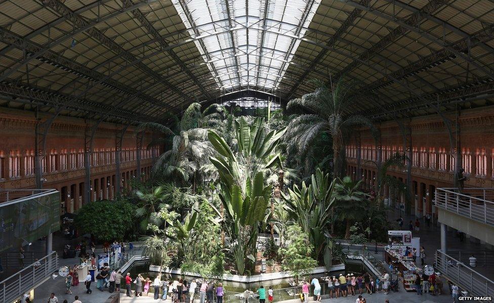 A view of the tropical plant display in the middle of Atocha station in Madrid