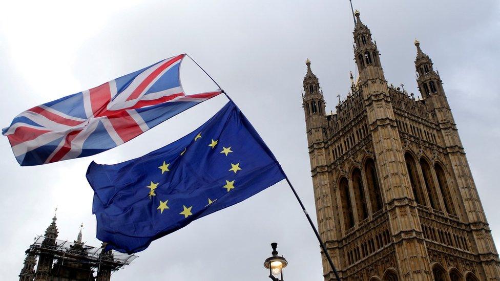 Flags outside parliament