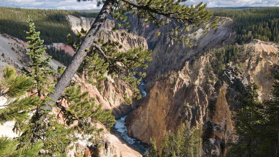 Yellowstone photographed in 2013