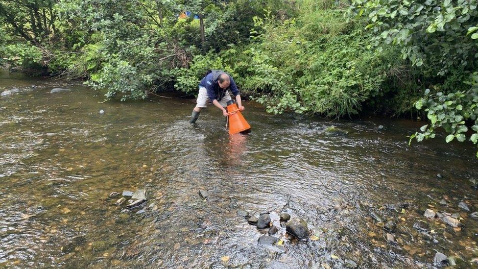 Looking for mussels in Yorkshire