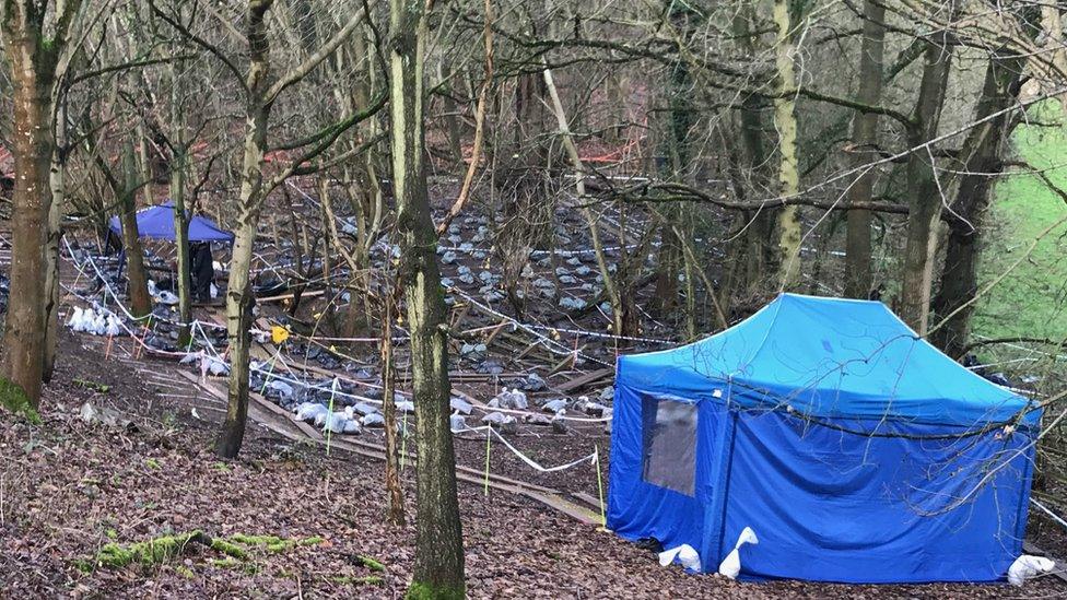 Crime scene in Beaconsfield woodland