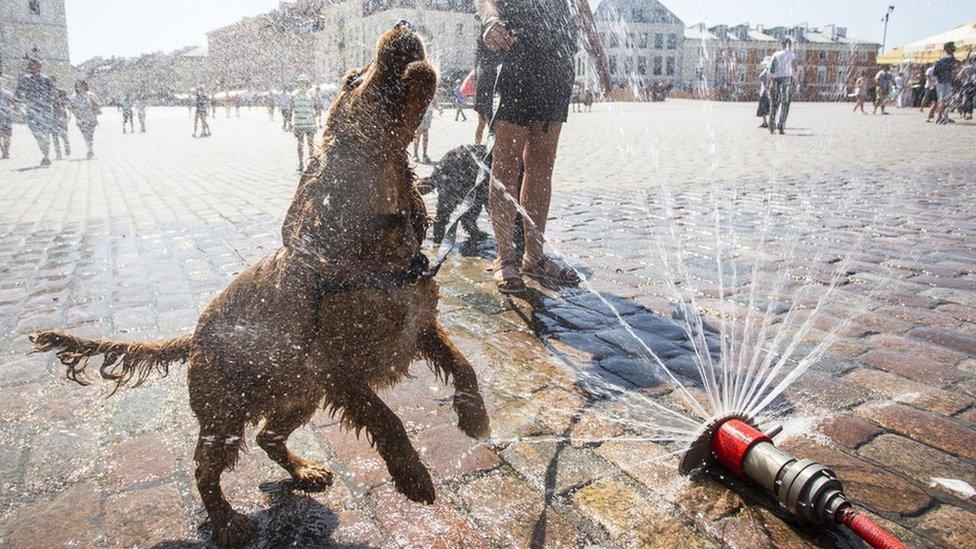 People cool themselves with sprinklers during the heat wave in Warsaw