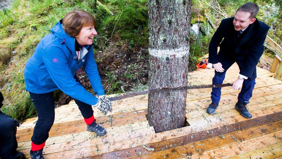 The Mayor of Oslo Marianne Borgen and the Lord Mayor of Westminster Steve Summers cut down 2016's Trafalgar Square Christmas tree