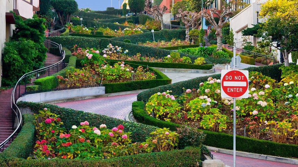 Lombard Street San Francisco