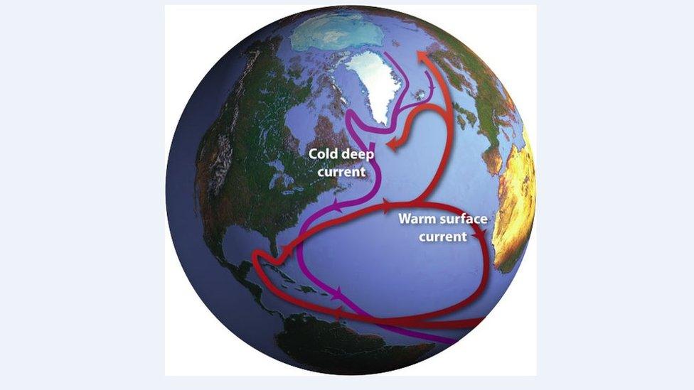 The Ocean Conveyor. A global system of currents, often called the “ocean conveyor”, carries warm surface waters from the tropics northward (c) Jack Cook, Woods Hole Oceanographic Institution