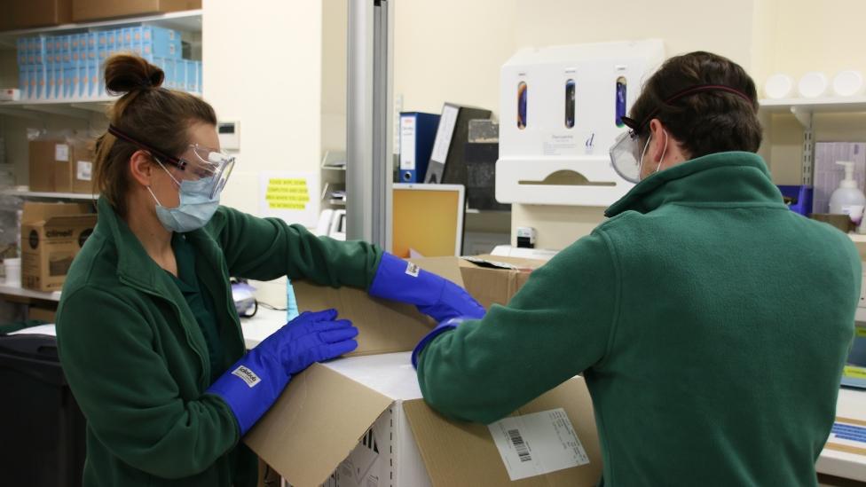 Covid vaccine in Jersey
