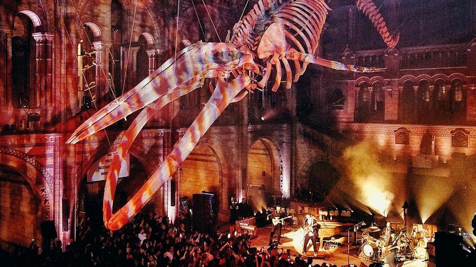 Coldplay at the Natural History Museum