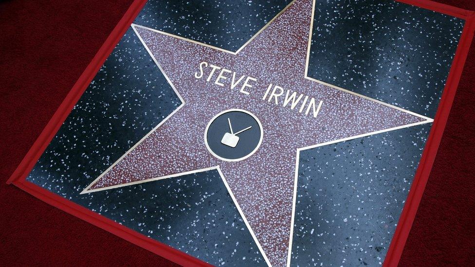 Steve Irwin's star