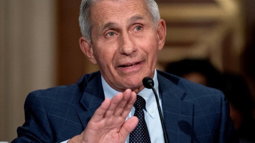 Dr Anthony Fauci, director of the National Institute of Allergy and Infectious Diseases