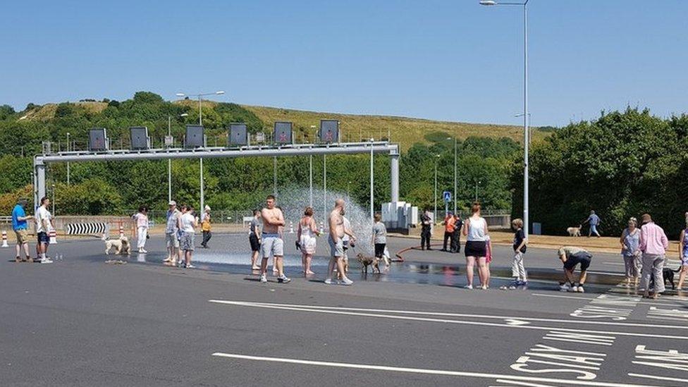 Dogs and children getting hosed down