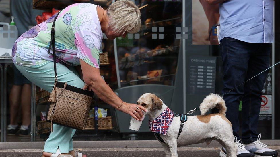 A woman gives her dog water in Belfast