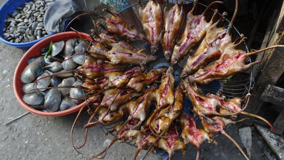 Rats on sale at a Vietnam market