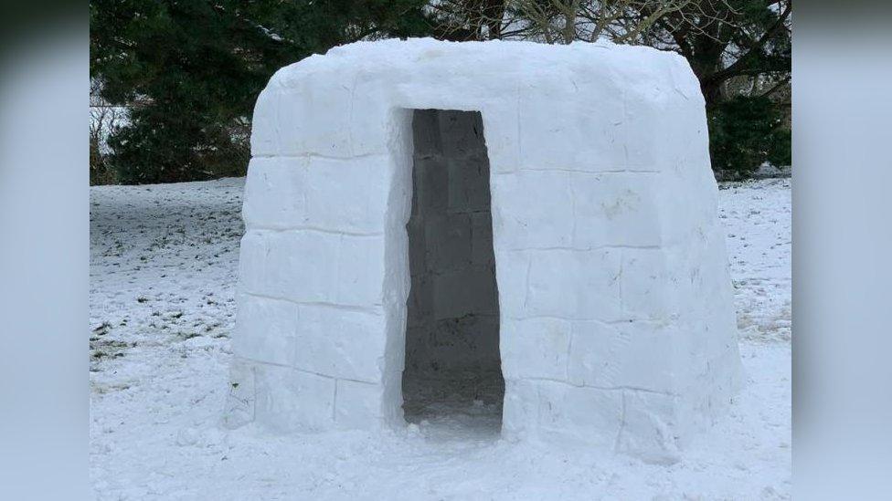 Igloo