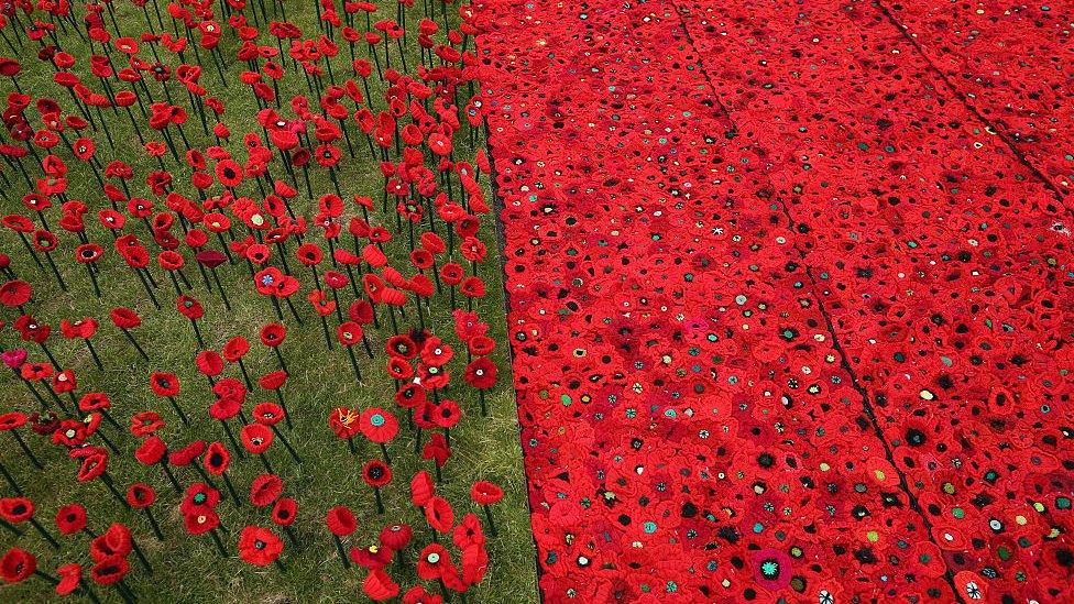 Knitted-poppies.