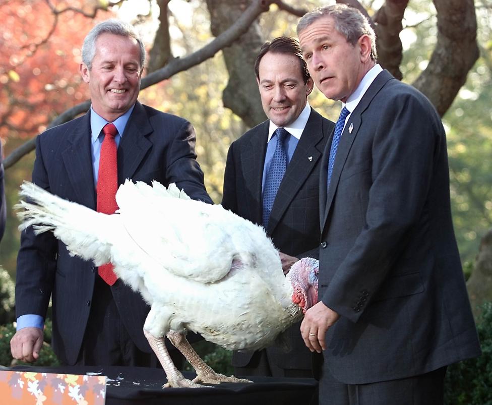 George Bush "pardoning" a turkey in an annual ceremony