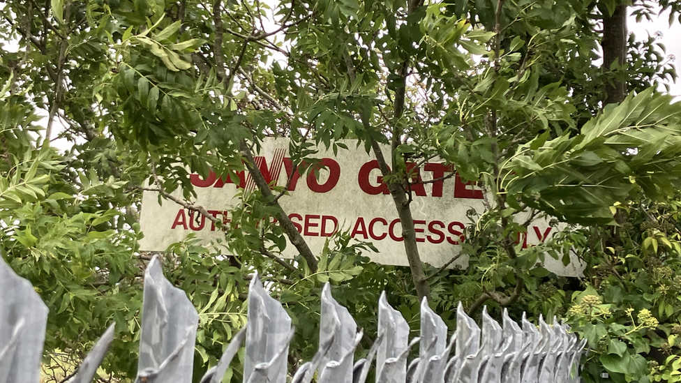 An old Sanyo sign behind trees in Lowestoft