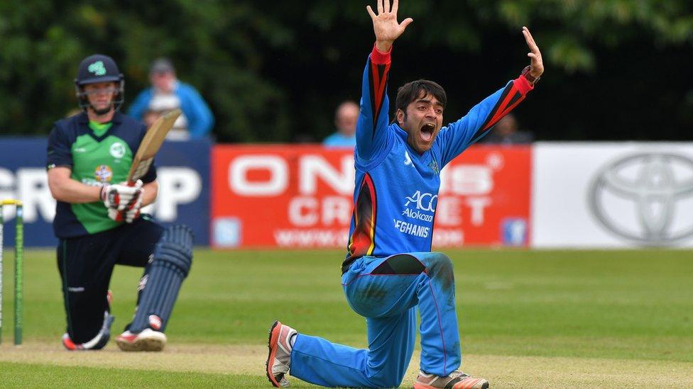 Afghan bowler Rashid Arman appeals for lbw against Ireland batsman Kevin O'Brien