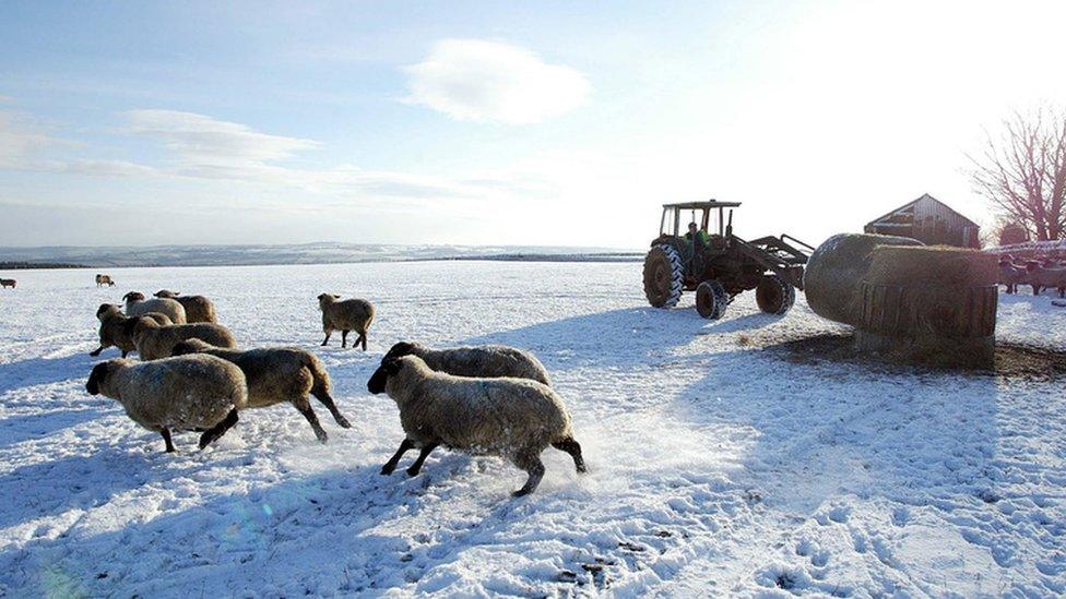 Farm scene in snow