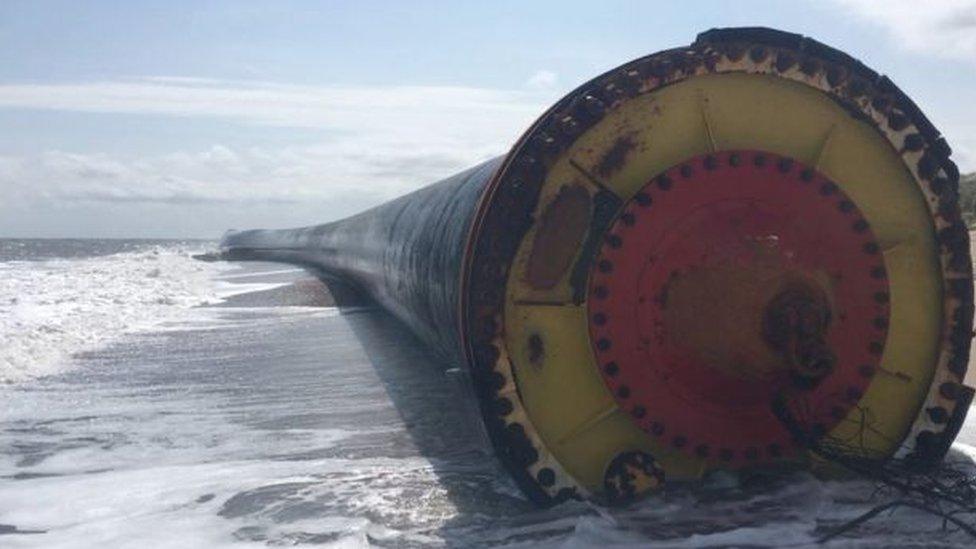 A giant pipe on the shoreline