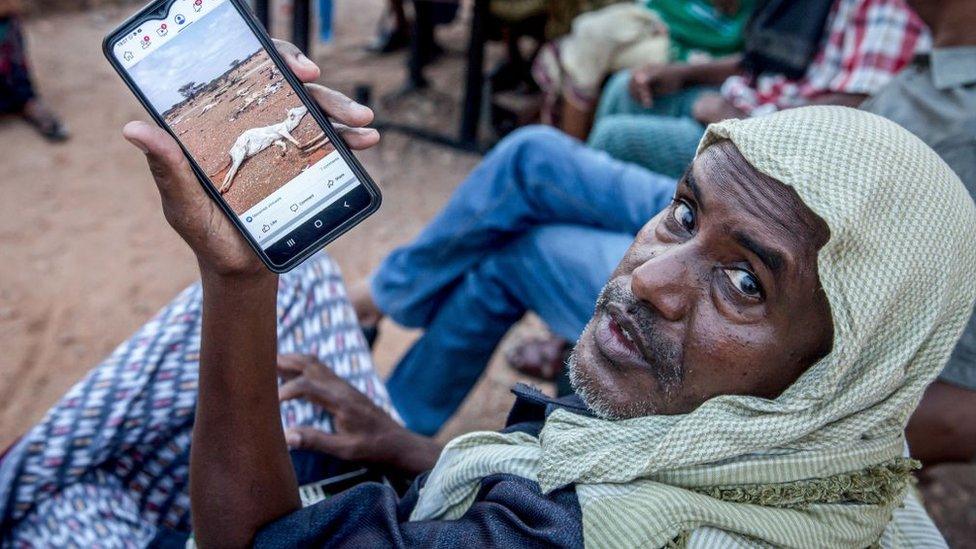 A member of the Dullow drought committee shows a photo he says he took showing livestock which died as a result of the drought