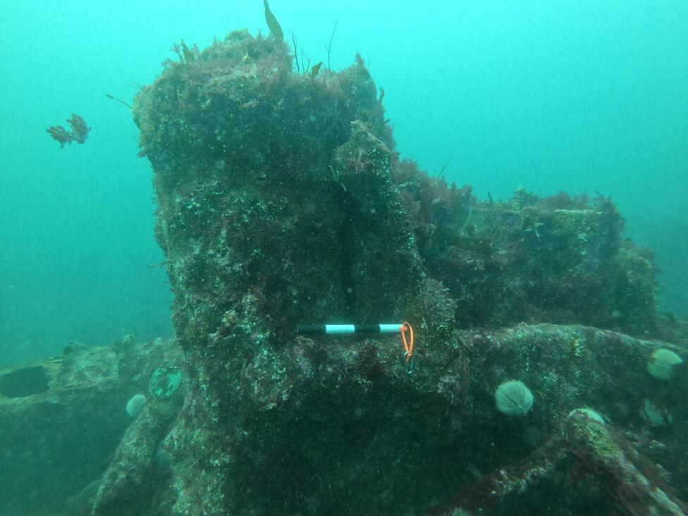 the wreck of the comet