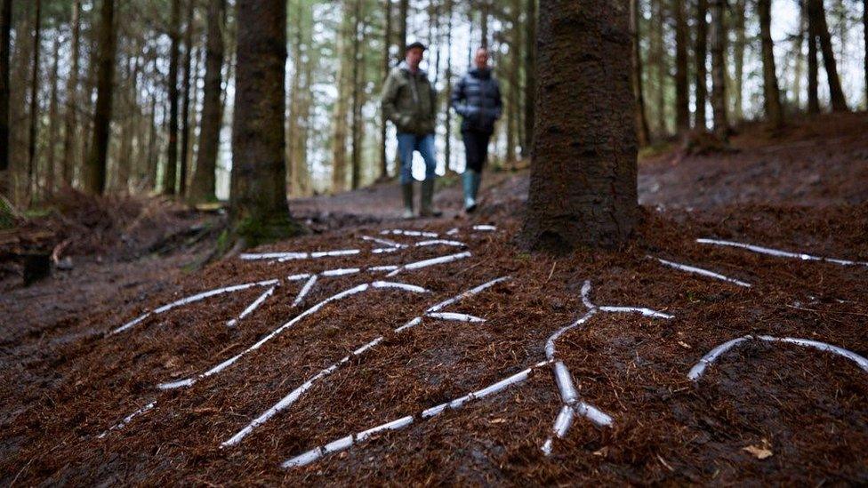 Forest of Dean Sculpture Trail, Gloucestershire