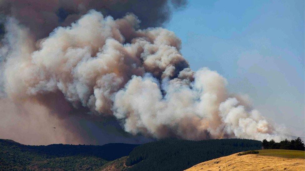 An undated handout photo made available by the Christchurch City Council (CCC) Newsline on 16 February 2017 shows a view of smoke billowing from the Christchurch Port Hills fire on the outskirts of Christchurch, New Zealand's South Island.