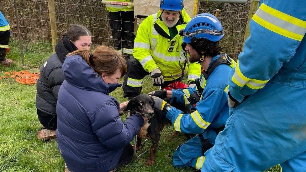 Cooper the dog back with his owners