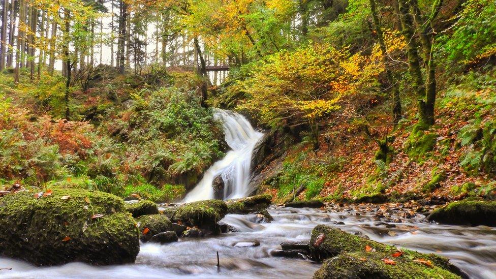 Peiran Falls ,Hafod Estate, Pont Rhydygroes