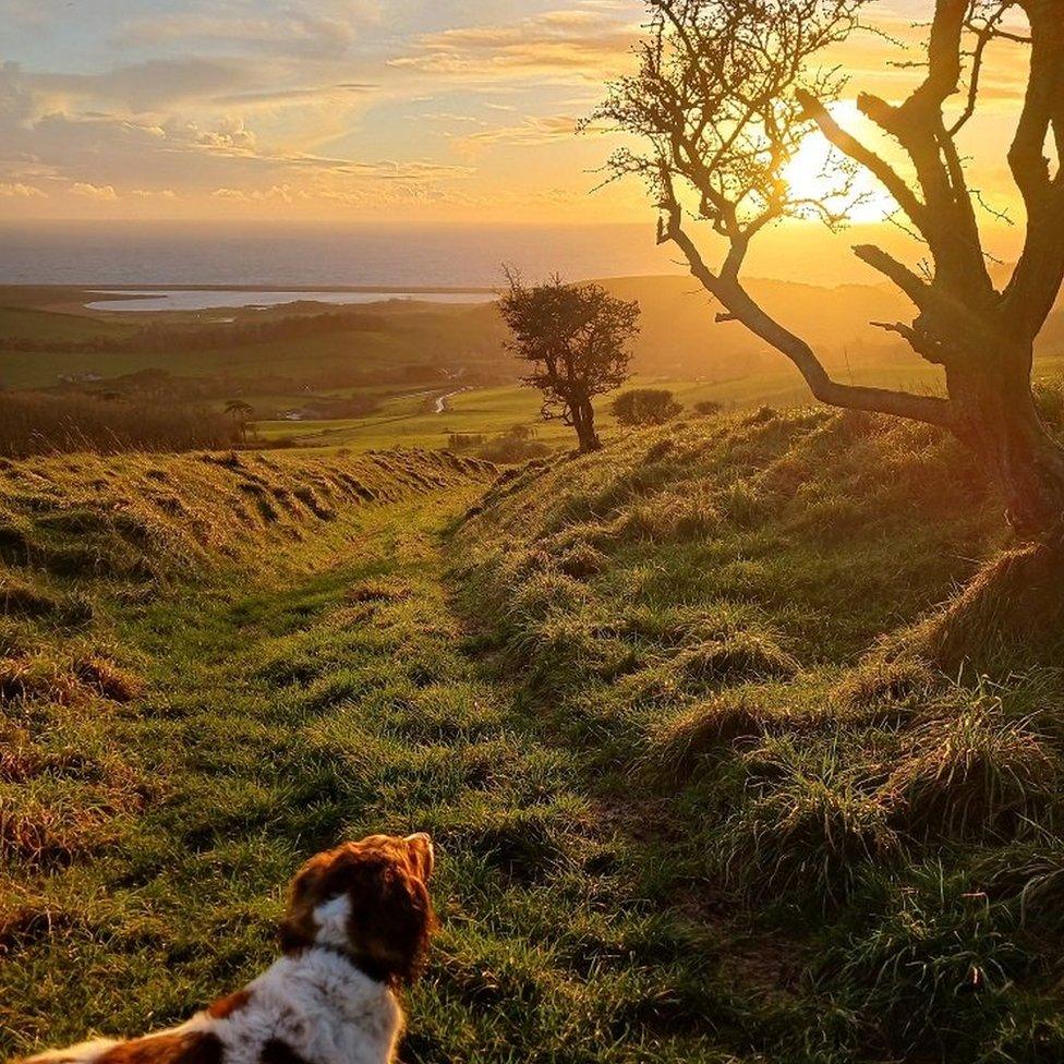 MONDAY - Abbotsbury