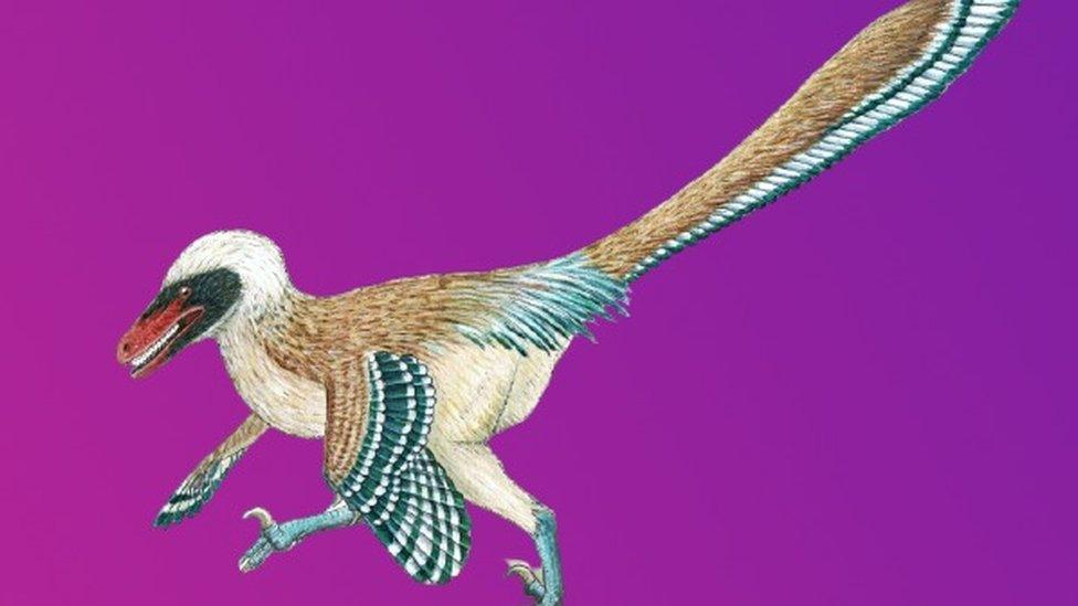 Vectiraptor greeni