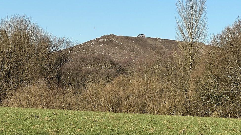 Clayton Hall landfill