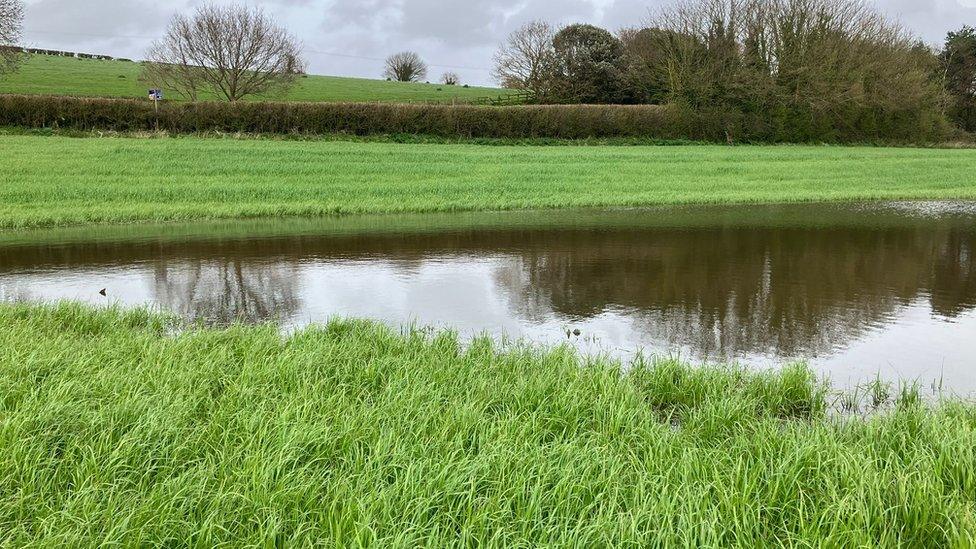 Farm in Kennford