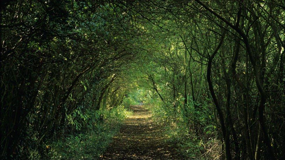 Fosse Way surviving as a farm track