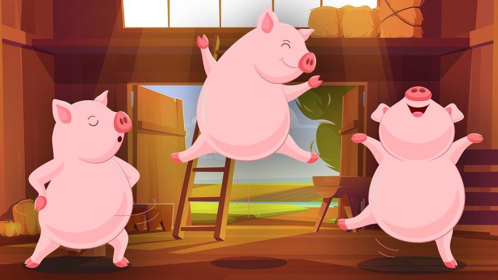 illustration shows three pigs together dancing in a barn