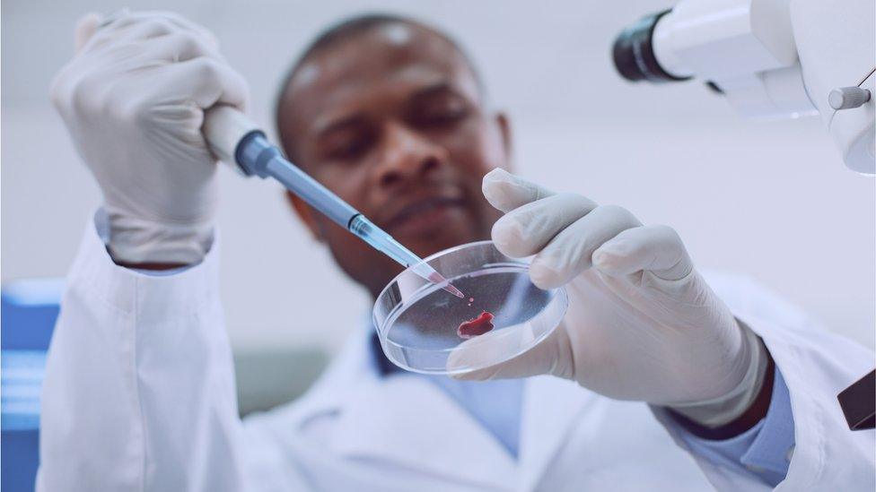 scientist testing blood