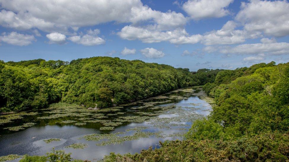 The Stackpole Estate