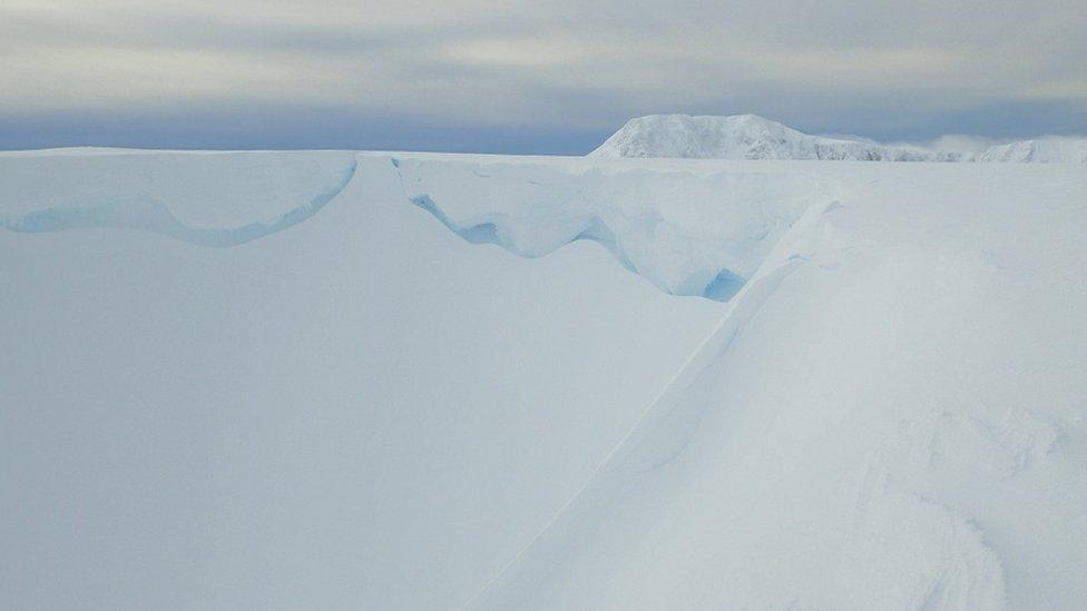 Cornices