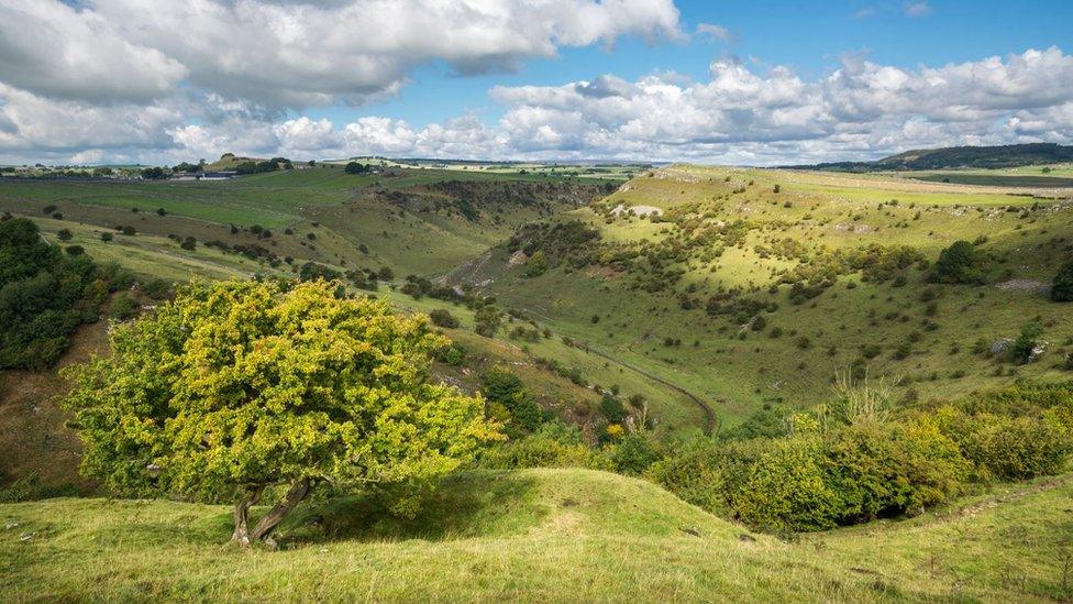 Cressbrook Dale