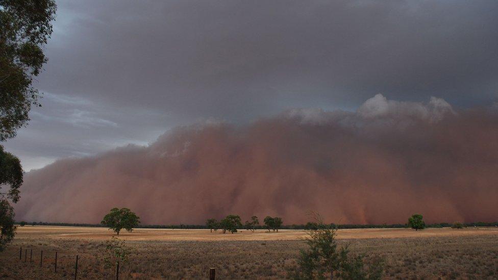 Huge dust cloud seen on the horizon in the town of Trundle in New South Wales