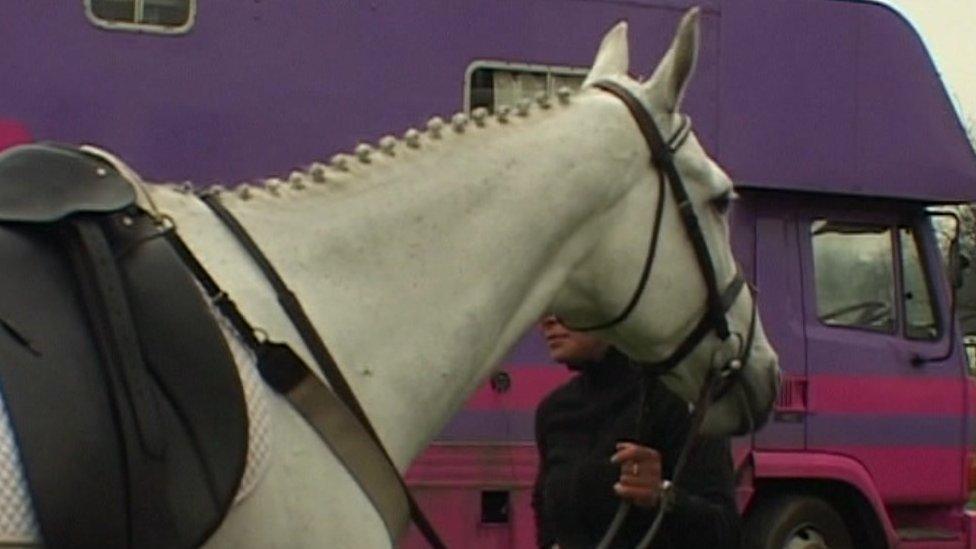 Archive shot of horse at Belton International Horse Trials